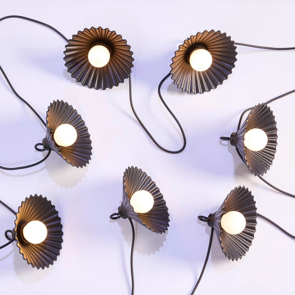 10 Indoor/Outdoor Flower String Lights (Mains Powered) - White – Black & Feather