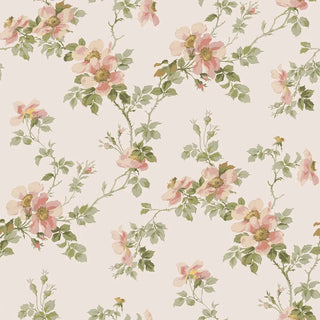 Laura Ashley Cream Blush Field Rose Wallpaper