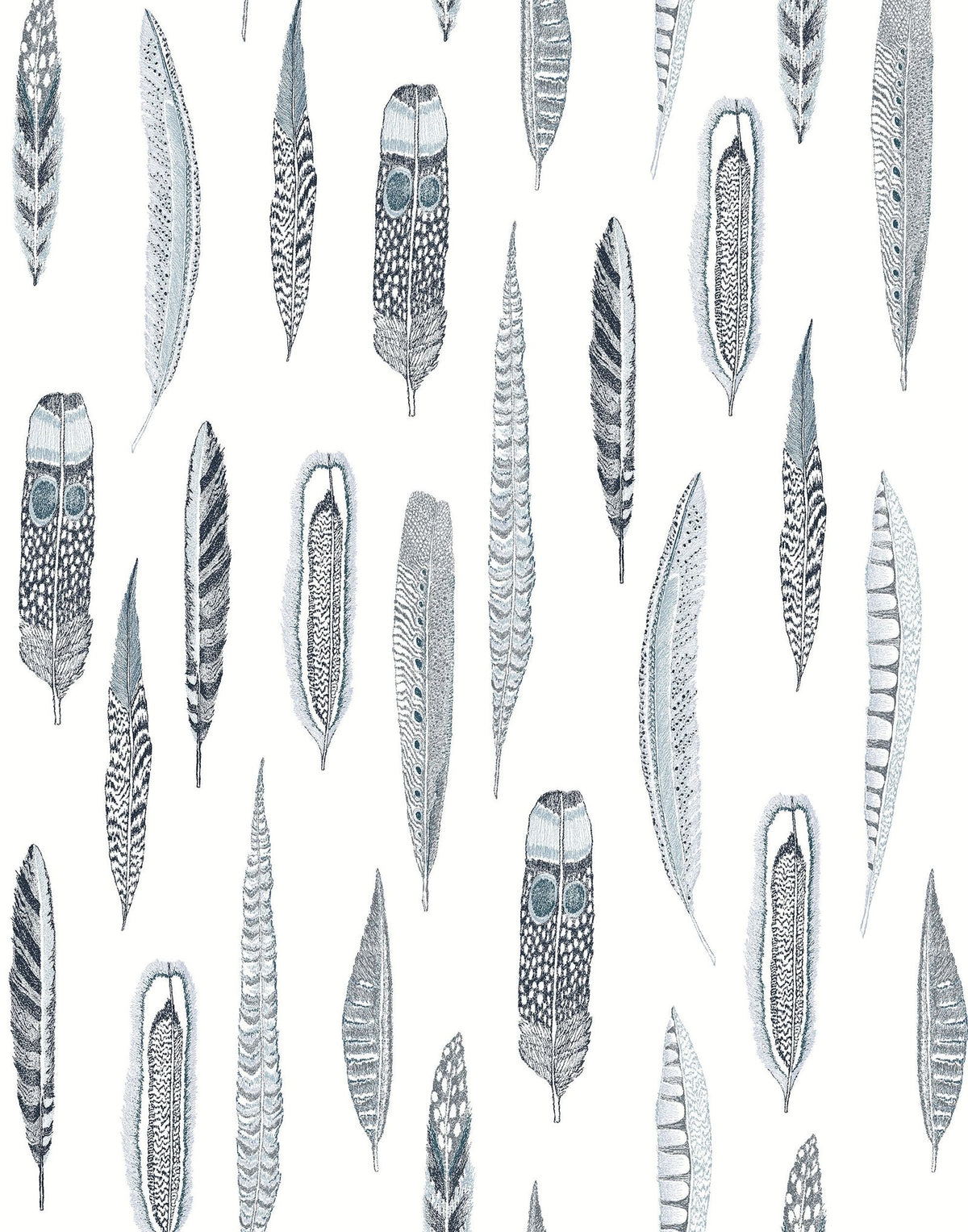 Laura Ashley Plumes Wallpaper Liverpool Style