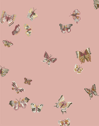 Laura Ashley Butterflies Wallpaper – Leeds