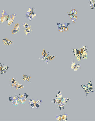 Laura Ashley Butterflies Wallpaper – Leeds