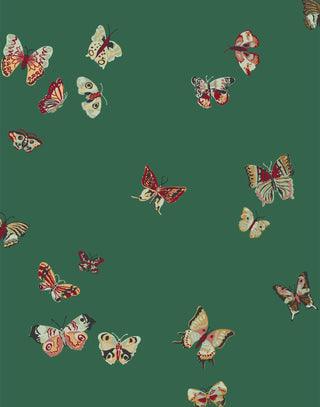 Laura Ashley Butterflies Wallpaper – Leeds