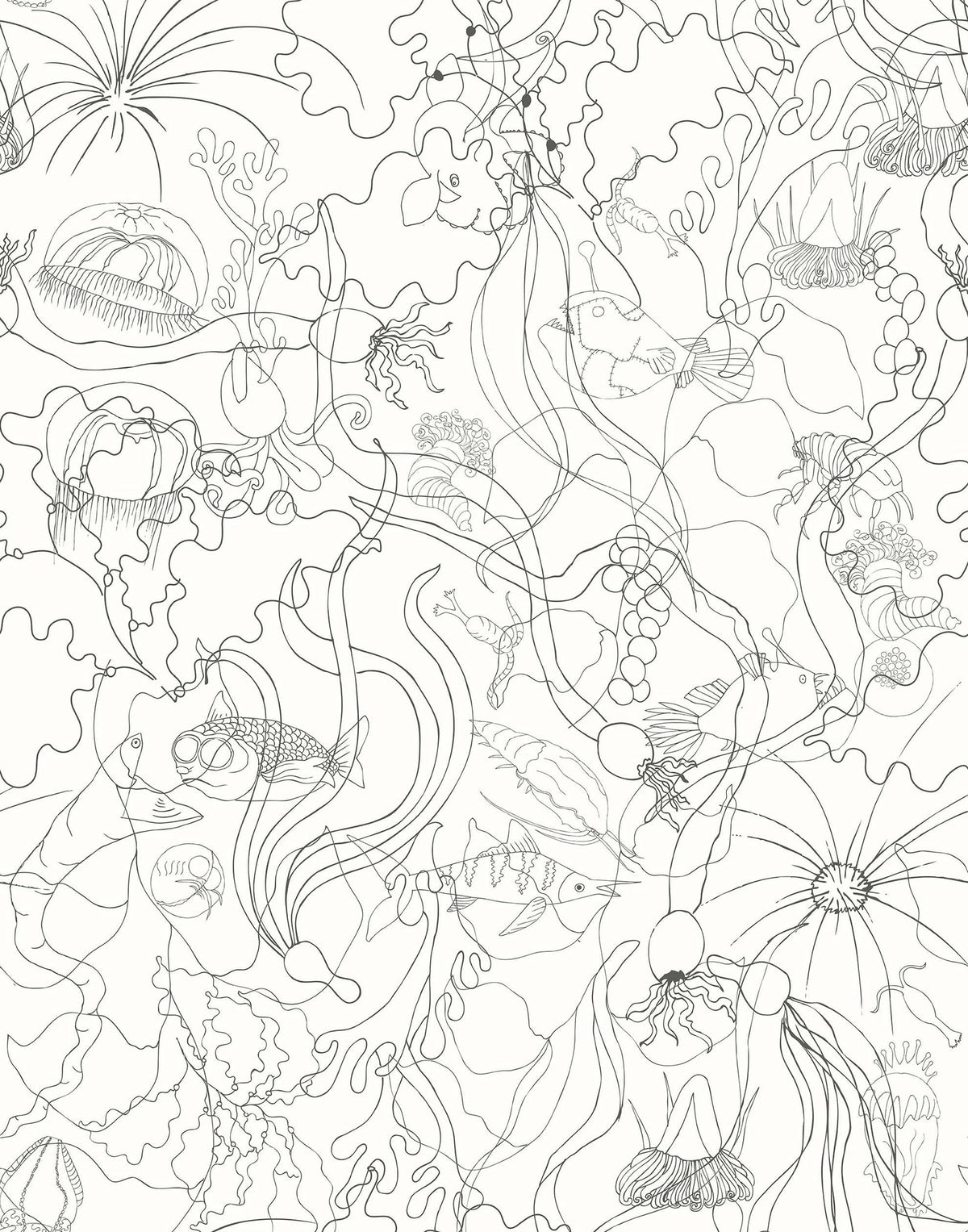 Laura Ashley Underwater World Wallpaper Liverpool Design