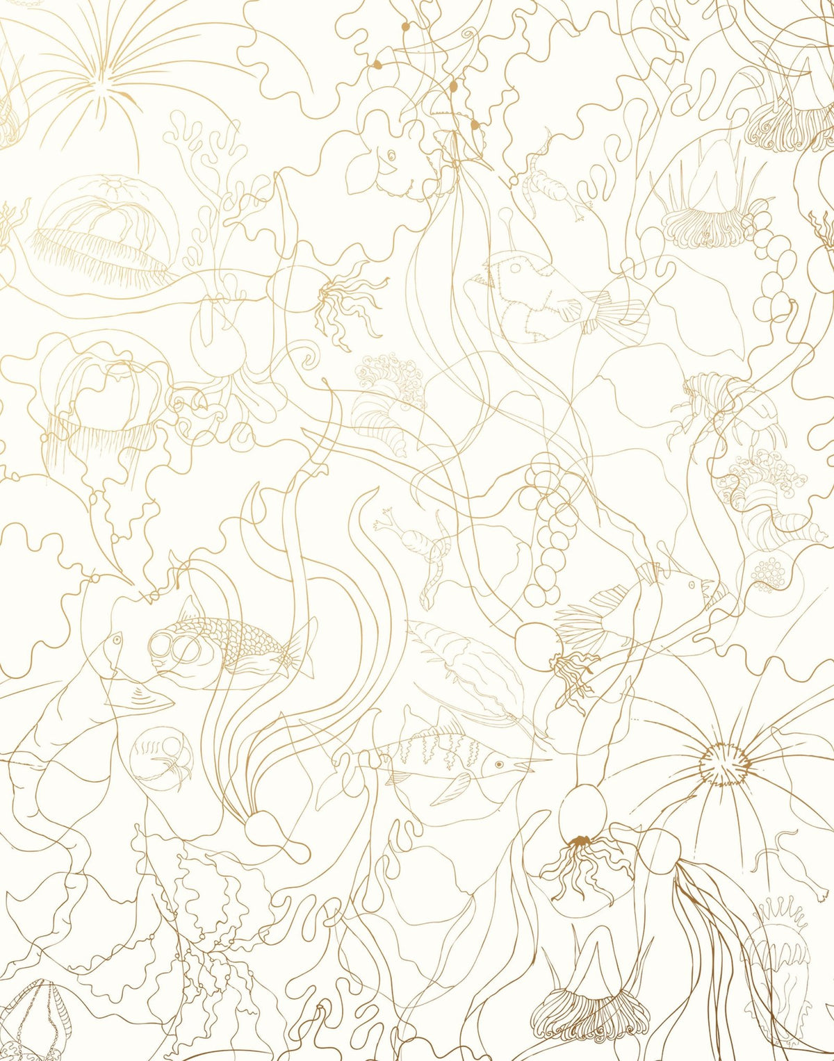 Laura Ashley Underwater World Wallpaper Liverpool Design