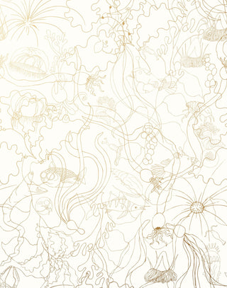 Laura Ashley Underwater World Wallpaper Liverpool Design