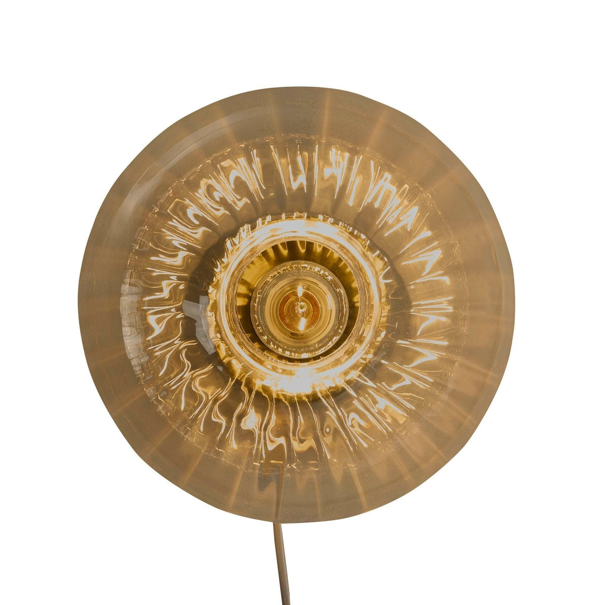 Anillo Glass Ring Black & Feather Wall Light - Clear