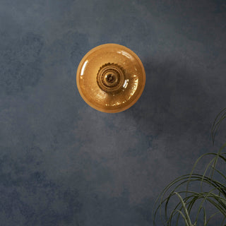 Anillo Glass Ring Feather & Black Wall Light - Amber