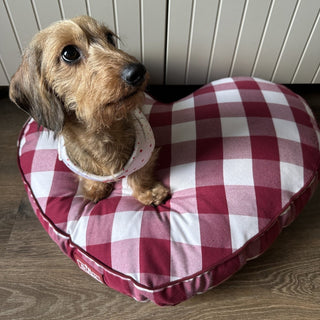 Beau Gingham Love Heart Dog Bed - White/Red – Black & Feather