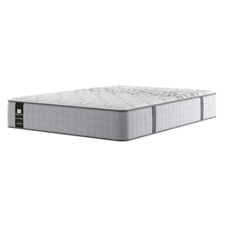 Sealy Alpha - Mattress, Align Support Spring System – LauraAshley