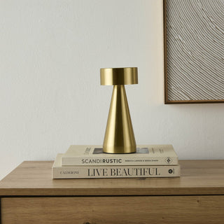 Zeta Mini LED Rechargeable Wireless Lamp - Brushed Gold – Black & Feather